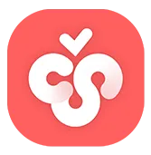 Cherry Studio